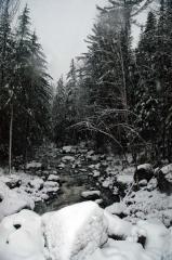 Rivers  Streams